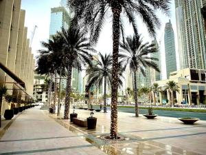 a row of palm trees in a city with buildings at BLVD SkyView in Dubai