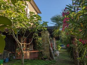 Ein Haus mit Pflanzen drauf. in der Unterkunft La Casa Di Lidia in Cardile
