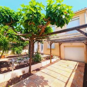 a tree in front of a building with a garage at Villa standing 10 personnes piscine/ pinède in Canet-en-Roussillon