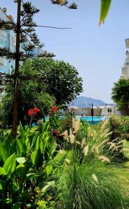 a garden with red flowers and green plants at Suit Home in Martil
