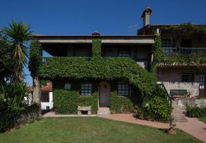 un edificio cubierto de hiedra con una puerta y un árbol en Quinta da Graca- Complexo Turistico, en Resende