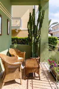 two wicker chairs and a cactus on a balcony at La Locanda del Geco in Marina di Pietrasanta