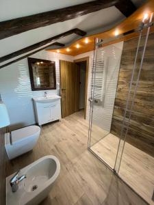 a bathroom with a toilet and a sink and a shower at Motel pizzeria Actros in Nova Topola
