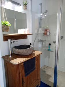 y baño con lavabo y ducha con lavamanos. en Petite maison de charme Les Chats Pîtres, en La Rochette