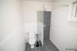 uma casa de banho com um WC e um chuveiro em Uzonka Guesthouse em Ozunca-Băi