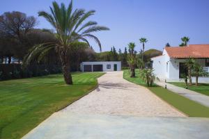 a driveway with palm trees and a white house at Alojamiento rural FINCA AZUCENA SUITE in Conil de la Frontera