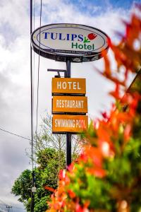 Chứng chỉ, giải thưởng, bảng hiệu hoặc các tài liệu khác trưng bày tại Hotel Tulips