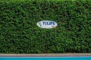 Vườn quanh Hotel Tulips