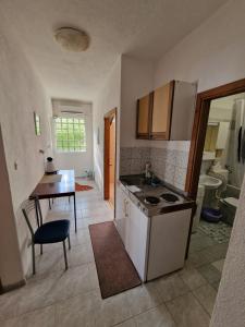 a kitchen with a stove and a table in it at Apartmani Arija in Promajna