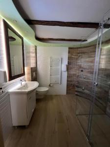 uma casa de banho com um WC, um lavatório e um chuveiro em Motel pizzeria Actros em Nova Topola