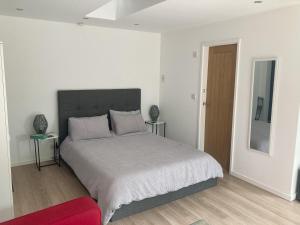a bedroom with a large bed and a mirror at Beautiful detached private annex in great location in Manchester