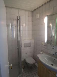 uma casa de banho com um chuveiro, um WC e um lavatório. em BTSD59302-FeWo-Stranddistel-IV em Burgtiefe auf Fehmarn 