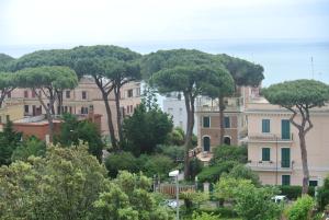 un gruppo di alberi in una città con edifici di BUBA BnB SUPERIOR ad Anzio