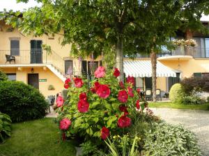 Zahrada ubytování Bed&Breakfast La Siepe