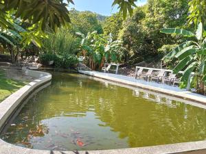 a pond in a garden with kites in it at Finca Los Mangos in Palomino