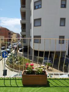 una recinzione con una pentola di fiori di fronte a un edificio di MI CASA TU CASA a Civitavecchia