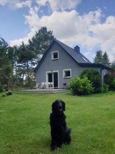 a black dog sitting in the grass in front of a house at Siedlisko na Ustroniu in Sasino