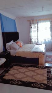 a bedroom with a bed and a window and a rug at KMK APARTMENTS in Kitwe