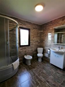 een badkamer met een toilet, een wastafel en een douche bij Casa Carp Calarasi in Călăraşi