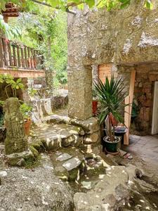 um jardim com uma casa de pedra com um vaso de plantas em Molino cascada de caldas de reyes em Caldas de Reis