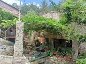 uma casa velha com plantas ao lado dela em Molino cascada de caldas de reyes em Caldas de Reis