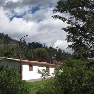 biały budynek z światłem ulicznym i drzewami w obiekcie Casa I Love Huaraz w mieście Huaraz