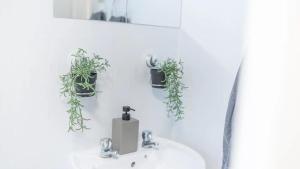 a bathroom sink with two potted plants on the wall at Spacious 2 Bedroom Apartment in Barrow in Furness