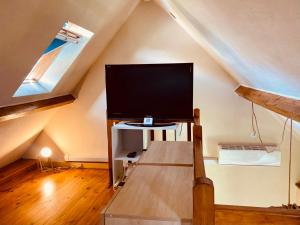 un soggiorno con TV a schermo piatto in mansarda di La maisonnette a Saint-Hilaire-sous-Romilly