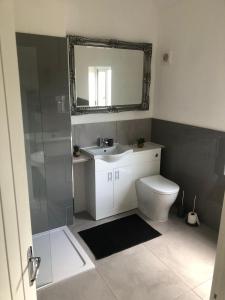 a bathroom with a toilet and a sink and a mirror at Lovely detached Cottage, Flint in Flint