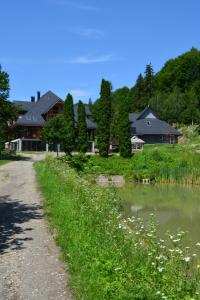 a house on a hill next to a body of water at Три сосни in Kosiv