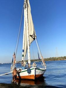 Windsurfing ved båden eller i nærheden