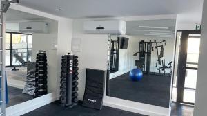 a room with a gym with weights and a blue ball at Apartamento Studio Centro Poços de Caldas in Poços de Caldas
