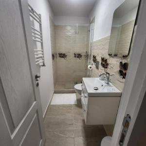 een badkamer met een toilet, een wastafel en een douche bij Casa centru vechi sibiu in Sibiu +7 foto's