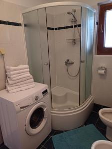 a bathroom with a washing machine and a shower at Apartments Lana in Pula
