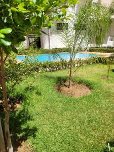 a yard with two trees and a swimming pool at Luxury apart in Fes monumental Exclusively for the family in Fez