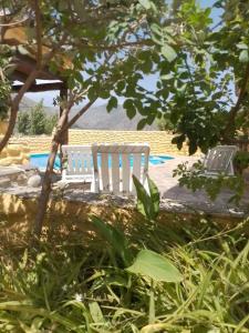 duas cadeiras brancas estão sentadas debaixo de uma árvore em Casas Amaro em Órgiva