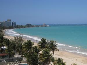 聖胡安的住宿－Tropical Studio at the Beach in Isla Verde，享有棕榈树海滩和大海的景色