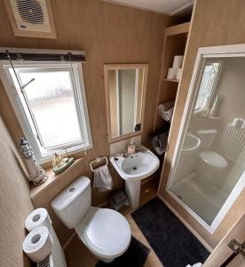 uma casa de banho com um WC, um lavatório e um chuveiro em 4-Bedroom Cosalt Parkhome in Uddingston, Glasgow em Uddingston