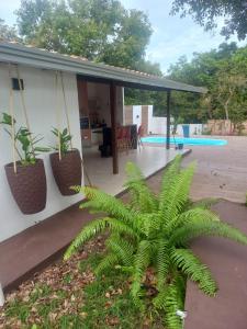 een huis met twee potplanten en een zwembad bij CASA CONFORTÁVEL COM 4 QUARTOS EM ALTER DO CHÃO in Alter do Chao