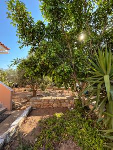 a garden with trees and a stone wall at Harry's House in Elafonisos