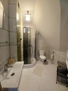 a bathroom with a shower and a sink and a toilet at Agroturystyka przy szlaku na Sokolicę in Krościenko