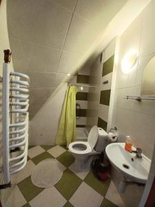 a bathroom with a toilet and a sink at Agroturystyka przy szlaku na Sokolicę in Krościenko