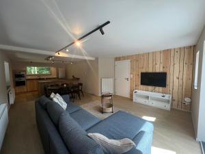 Maison Léon في Bilstain: غرفة معيشة بها أريكة زرقاء وتلفزيون
