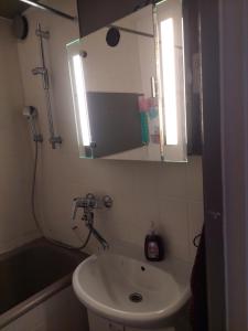 ロヴァニエミにあるAlice Apartment - main streetのバスルーム(シンク、鏡、シャワー付)