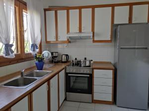 叟索波利的住宿－Gaia Olives Villa，厨房配有水槽和冰箱