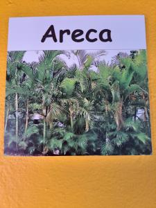 a book with a picture of palm trees at Recanto das Flores Lofts - Ilha Grande Rj in Abraão