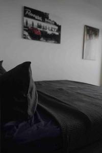 ein Bett mit einem schwarzen Kissen und einem Bild an der Wand in der Unterkunft Luftiges Apartment im Herzen von Dresden in Dresden