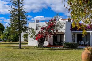 ein weißes Haus mit einem Baum im Hof in der Unterkunft Pedras D'el Rei in Tavira