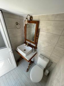 a bathroom with a sink and a toilet and a mirror at Aloni Farmhouse in Karistos
