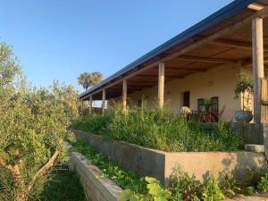ein Haus mit Garten davor in der Unterkunft Vivi-Vendicari in Noto